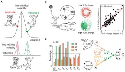 Social Determinants of Inter-Individual Variability and Vulnerability: The Role of Dopamine